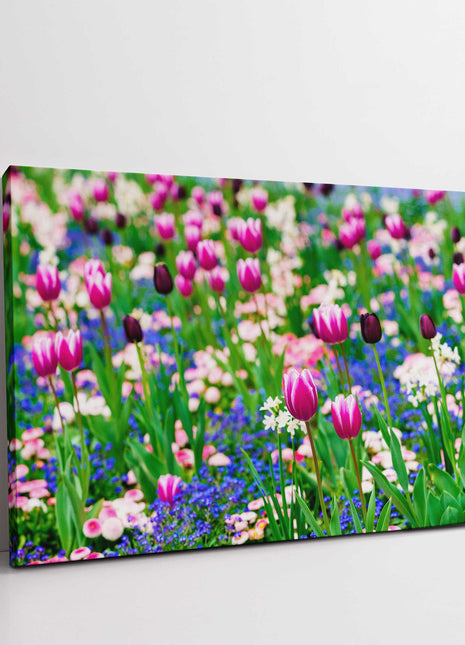 Tulips and Forget me Nots. Canvas picture print. Sringtime Floral picture.