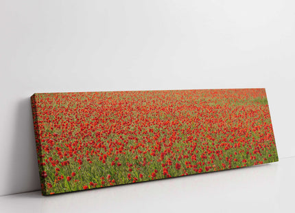 poppy field canvas picture print reds and greens panoramic