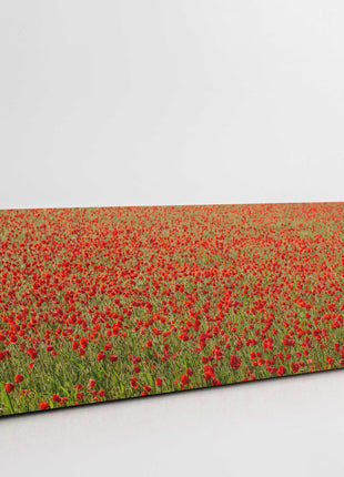 poppy field canvas picture print reds and greens panoramic