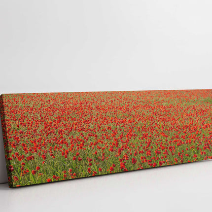 poppy field canvas picture print reds and greens panoramic
