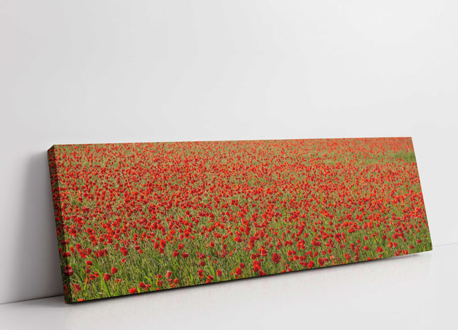 poppy field canvas picture print reds and greens panoramic