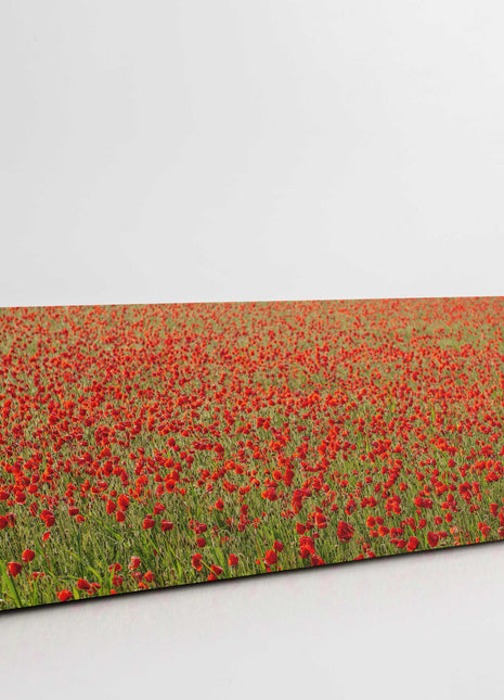 poppy field canvas picture print reds and greens panoramic