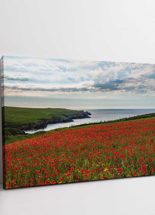 Poppy Field above Polly Joke Bay, near Crantock, Cornwall. Canvas Print
