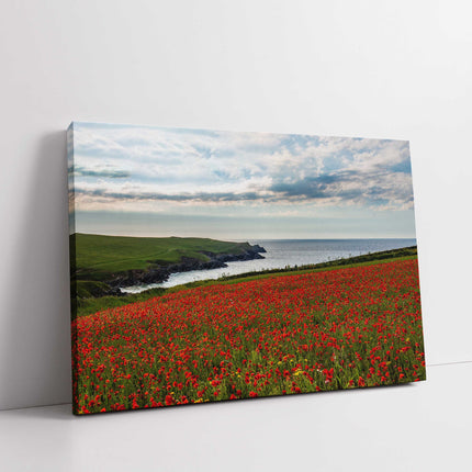 Poppy Field above Polly Joke Bay, near Crantock, Cornwall. Canvas Print