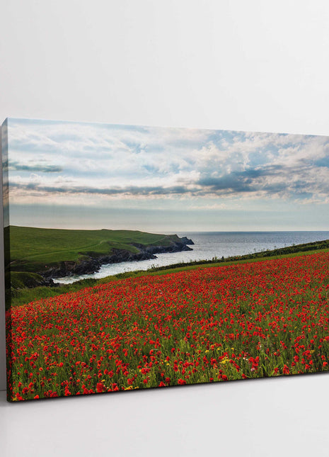 Poppy Field above Polly Joke Bay, near Crantock, Cornwall. Canvas Print
