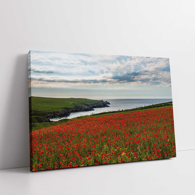 Poppy Field above Polly Joke Bay, near Crantock, Cornwall. Canvas Print