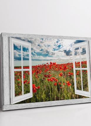 Window frame Canvas Print. Poppies at Crantcock, Newquay.