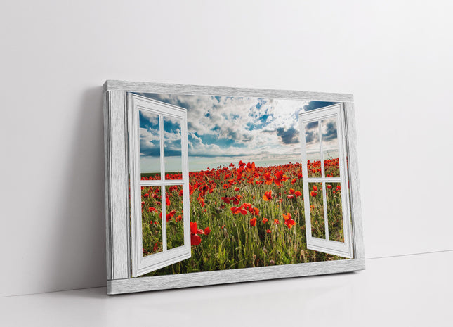 Window frame Canvas Print. Poppies at Crantcock, Newquay.