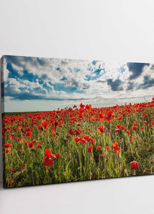 Poppy Field above Polly Joke beach crantock canvas picture print landscape