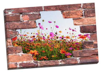 hole in the wall view of poppy field canvas picture print