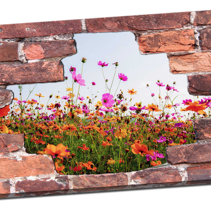 hole in the wall view of poppy field canvas picture print