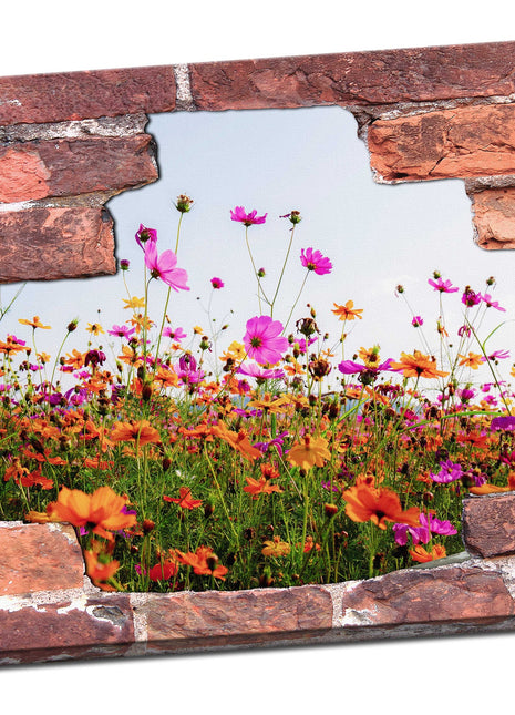hole in the wall view of poppy field canvas picture print