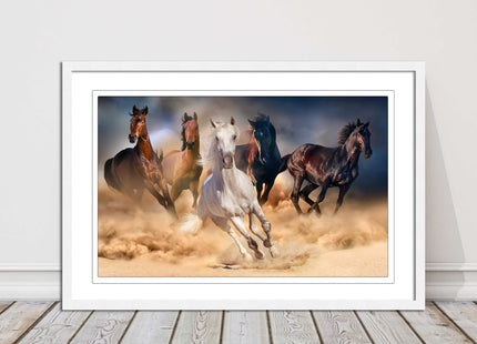 Wild horses galloping through sand. Framed picture choice on frames