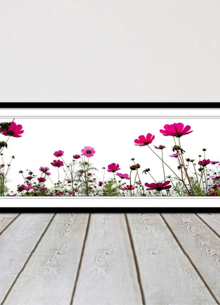 Pink wild flowers on a white background. Panoramic framed picture print