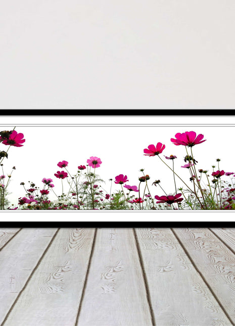 Pink wild flowers on a white background. Panoramic framed picture print