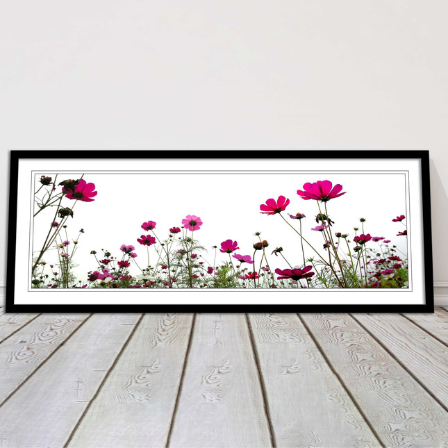 Pink wild flowers on a white background. Panoramic framed picture print