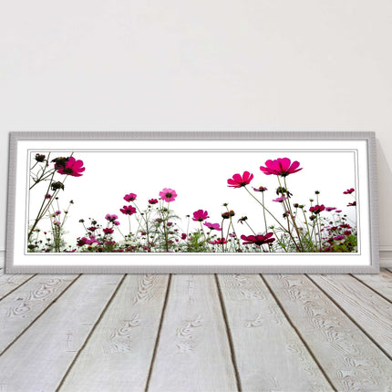 Pink wild flowers on a white background. Panoramic framed picture print