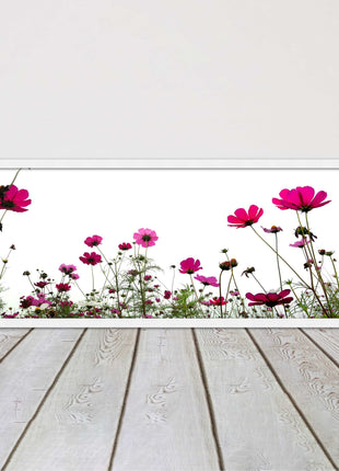 Pink wild flowers on a white background. Panoramic framed picture print
