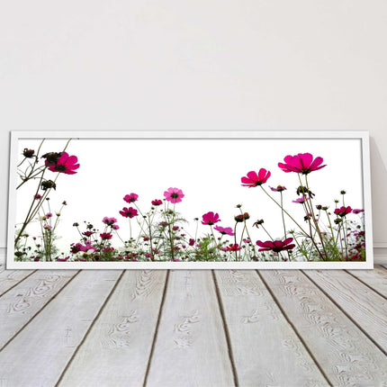 Pink wild flowers on a white background. Panoramic framed picture print