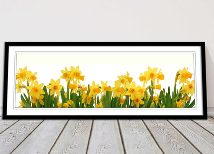 daffodils canvas picture print framed ready to hand choice of colours and sizes