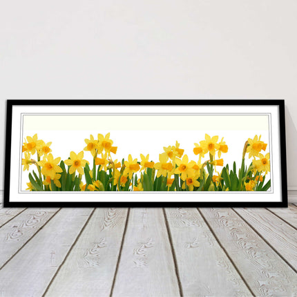 daffodils canvas picture print framed ready to hand choice of colours and sizes