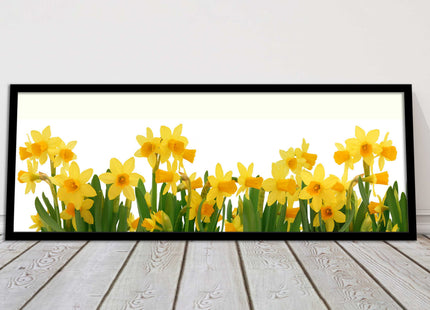 daffodils canvas picture print framed ready to hand choice of colours and sizes