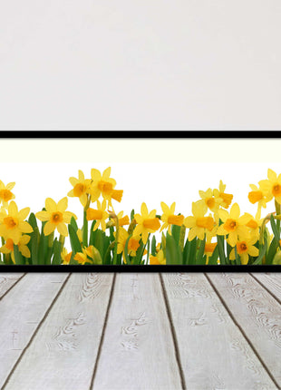 daffodils canvas picture print framed ready to hand choice of colours and sizes