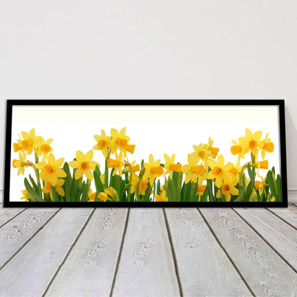 daffodils canvas picture print framed ready to hand choice of colours and sizes