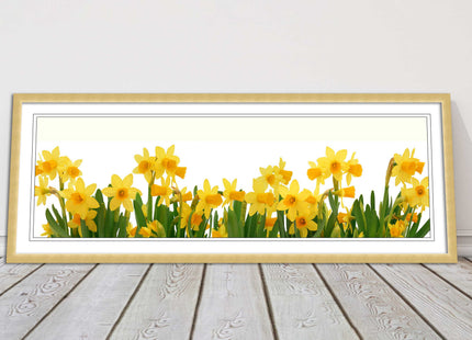 daffodils canvas picture print framed ready to hand choice of colours and sizes