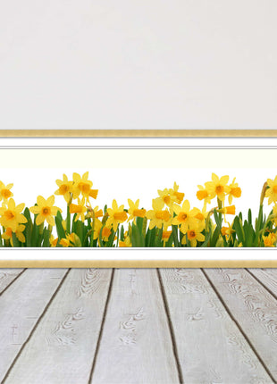daffodils canvas picture print framed ready to hand choice of colours and sizes