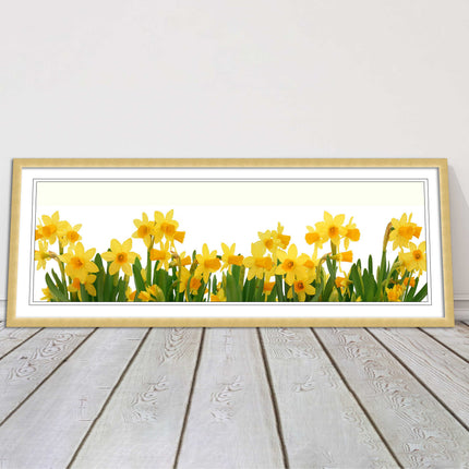 daffodils canvas picture print framed ready to hand choice of colours and sizes