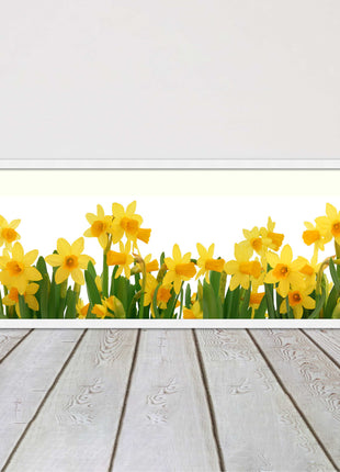 daffodils canvas picture print framed ready to hand choice of colours and sizes