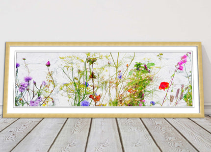 Multi coloured Wild flowers on a white background Panoramic framed picture print