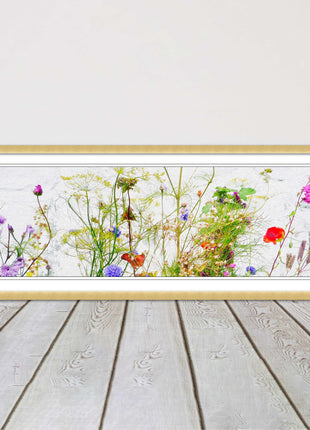 Multi coloured Wild flowers on a white background Panoramic framed picture print