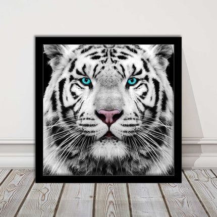White Siberian Tiger, framed picture with print. A choice of frames