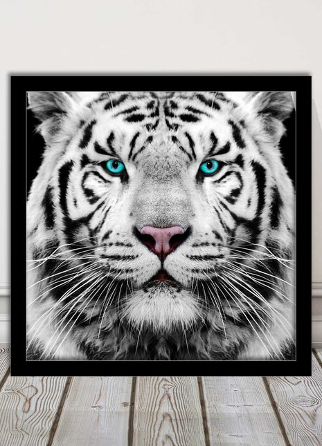 White Siberian Tiger, framed picture with print. A choice of frames