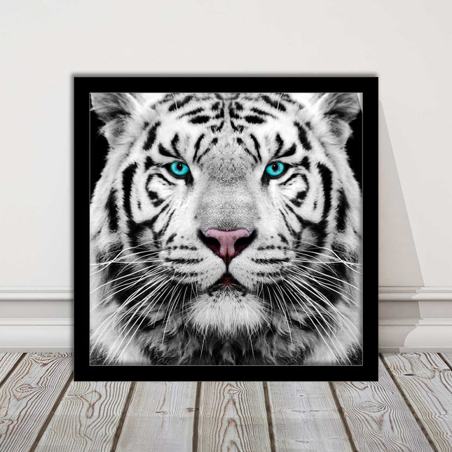 White Siberian Tiger, framed picture with print. A choice of frames