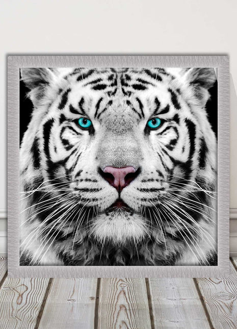 White Siberian Tiger, framed picture with print. A choice of frames