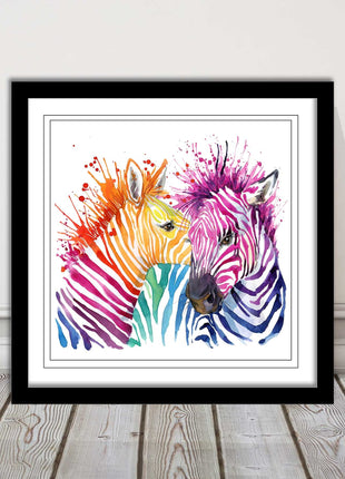 Zebras multi coloura Framed picture print. Colour splash white background