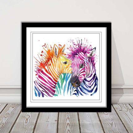 Zebras multi coloura Framed picture print. Colour splash white background