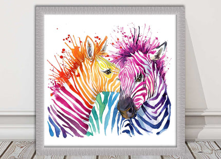 Zebras multi coloura Framed picture print. Colour splash white background
