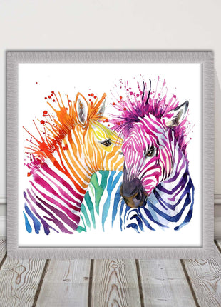 Zebras multi coloura Framed picture print. Colour splash white background