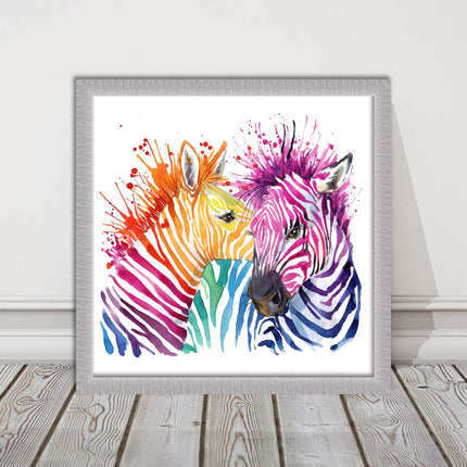 Zebras multi coloura Framed picture print. Colour splash white background
