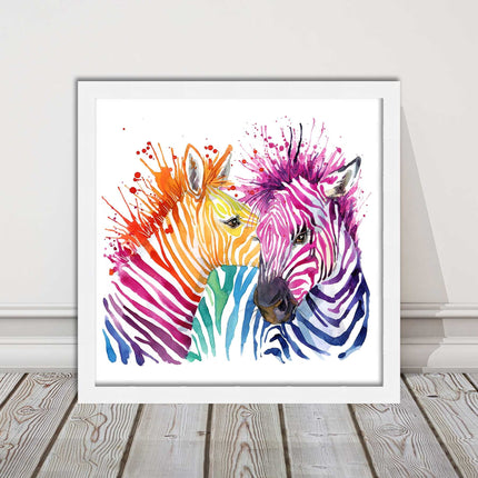 Zebras multi coloura Framed picture print. Colour splash white background