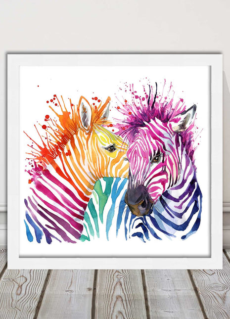 Zebras multi coloura Framed picture print. Colour splash white background