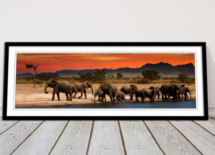 Herd of Elephants in African Savannah, at sunset. Panoramic framed picture print