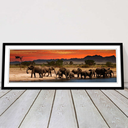 Herd of Elephants in African Savannah, at sunset. Panoramic framed picture print