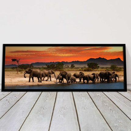 Herd of Elephants in African Savannah, at sunset. Panoramic framed picture print