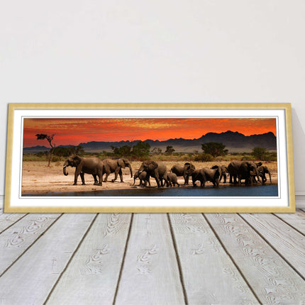Herd of Elephants in African Savannah, at sunset. Panoramic framed picture print