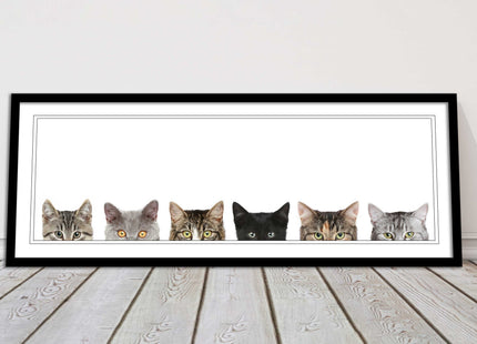 peeping kitten cats funny framed picture print panoramic choice of frame colour